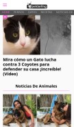 How petdarling.com looks like on a mobile device such as an iPhone.