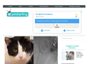 How petdarling.com looks like on a tablet such as an iPad.