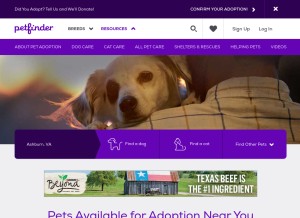 How petfinder.com looks like on a tablet such as an iPad.