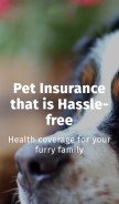 How petfirst.com looks like on a mobile device such as an iPhone.