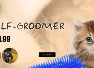 How petsgreat.com looks like on a tablet such as an iPad.