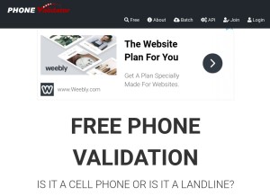How phonevalidator.com looks like on a tablet such as an iPad.