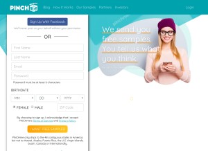 How pinchme.com looks like on a tablet such as an iPad.