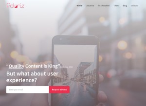 How poloriz.com looks like on a tablet such as an iPad.