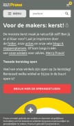 How praxis.nl looks like on a mobile device such as an iPhone.