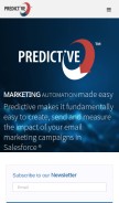 How predictiveresponse.net looks like on a mobile device such as an iPhone.