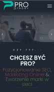 How pro-strony.pl looks like on a mobile device such as an iPhone.