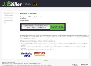 How probiller.com looks like on a tablet such as an iPad.