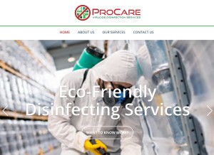 How procaredisinfection.com looks like on a tablet such as an iPad.