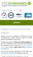How prodomaines.com looks like on a mobile device such as an iPhone.