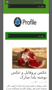 How profilee.ir looks like on a mobile device such as an iPhone.