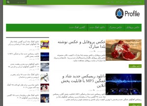 How profilee.ir looks like on a tablet such as an iPad.