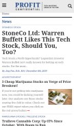 How profitconfidential.com looks like on a mobile device such as an iPhone.