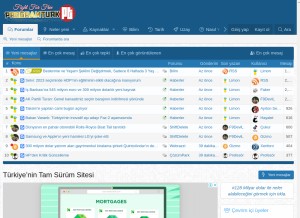 How programturk.com looks like on a tablet such as an iPad.