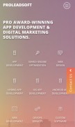 How proleadsoft.com looks like on a mobile device such as an iPhone.