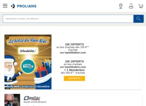 How prolians.fr looks like on a tablet such as an iPad.