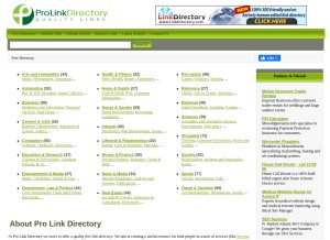 How prolinkdirectory.com looks like on a tablet such as an iPad.