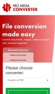 How promediaconverter.com looks like on a mobile device such as an iPhone.