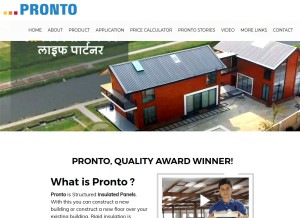 How prontopanels.com looks like on a tablet such as an iPad.