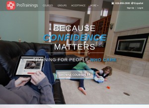 How protrainings.com looks like on a tablet such as an iPad.
