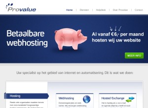 How provalue.nl looks like on a tablet such as an iPad.