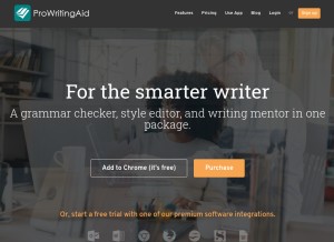 How prowritingaid.com looks like on a tablet such as an iPad.