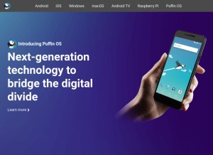 How puffinbrowser.com looks like on a tablet such as an iPad.