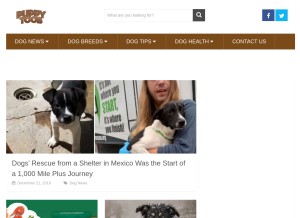 How puppytoob.com looks like on a tablet such as an iPad.