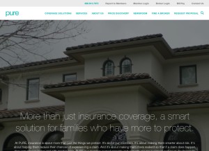 How pureinsurance.com looks like on a tablet such as an iPad.