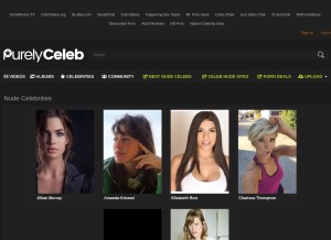 How purelyceleb.com looks like on a tablet such as an iPad.