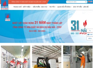 How pvchem.com.vn looks like on a tablet such as an iPad.