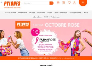 How pylones.com looks like on a tablet such as an iPad.