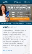 How qlinkwireless.com looks like on a mobile device such as an iPhone.