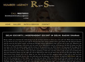 How raginisharma.com looks like on a tablet such as an iPad.