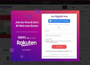 How rakuten.ca looks like on a tablet such as an iPad.