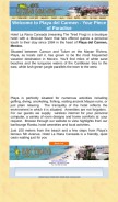 How ranacansada.com looks like on a mobile device such as an iPhone.