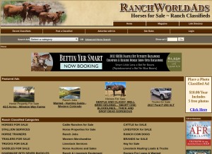 How ranchworldads.com looks like on a tablet such as an iPad.
