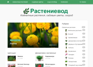How rastenievod.com looks like on a tablet such as an iPad.