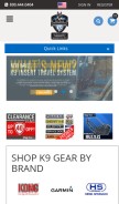 How rayallen.com looks like on a mobile device such as an iPhone.