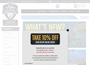 How rayallen.com looks like on a tablet such as an iPad.