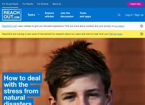 How reachout.com looks like on a tablet such as an iPad.