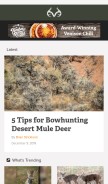 How realtree.com looks like on a mobile device such as an iPhone.