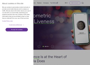 How regulaforensics.com looks like on a tablet such as an iPad.