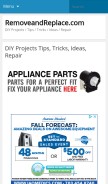 How removeandreplace.com looks like on a mobile device such as an iPhone.