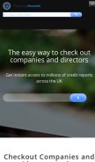 How reportingaccounts.com looks like on a mobile device such as an iPhone.