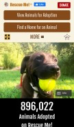 How rescueme.org looks like on a mobile device such as an iPhone.