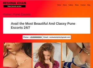 How reshmakhan.in looks like on a tablet such as an iPad.