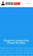 How revealname.com looks like on a mobile device such as an iPhone.
