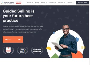 How revenuegrid.com looks like on a tablet such as an iPad.