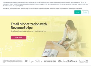 How revenuestripe.com looks like on a tablet such as an iPad.